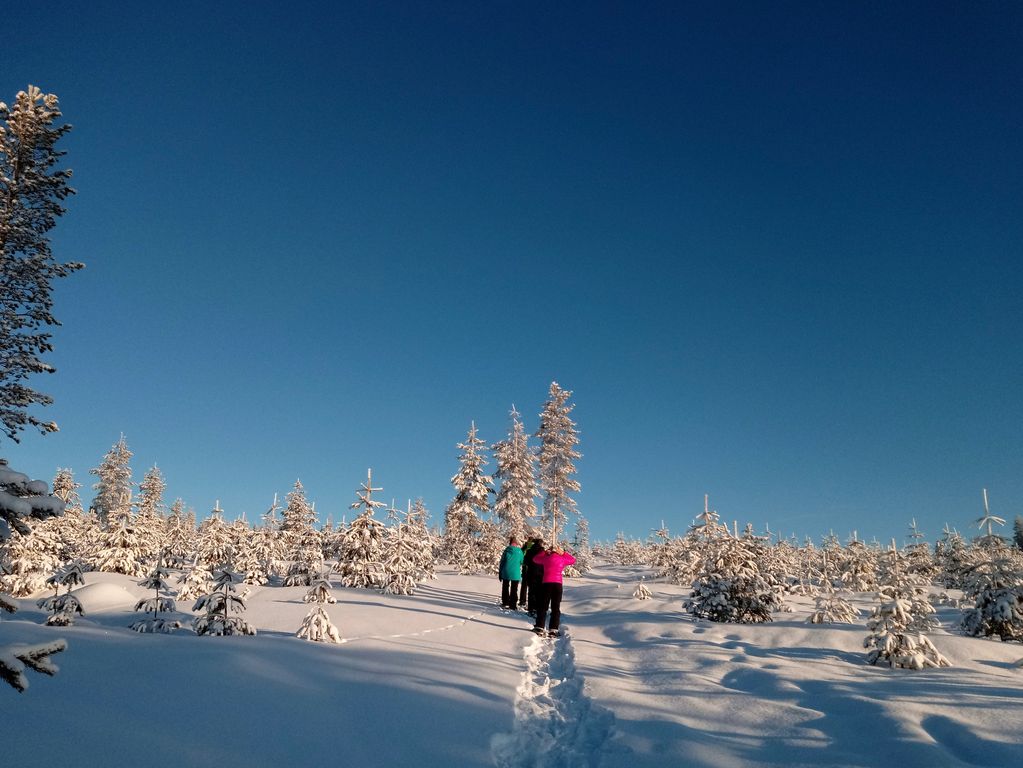 Natuur sneeuwschoenwandeling